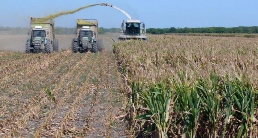 El clima volvió a condicionar las tareas agrícolas en el centro norte santafesino