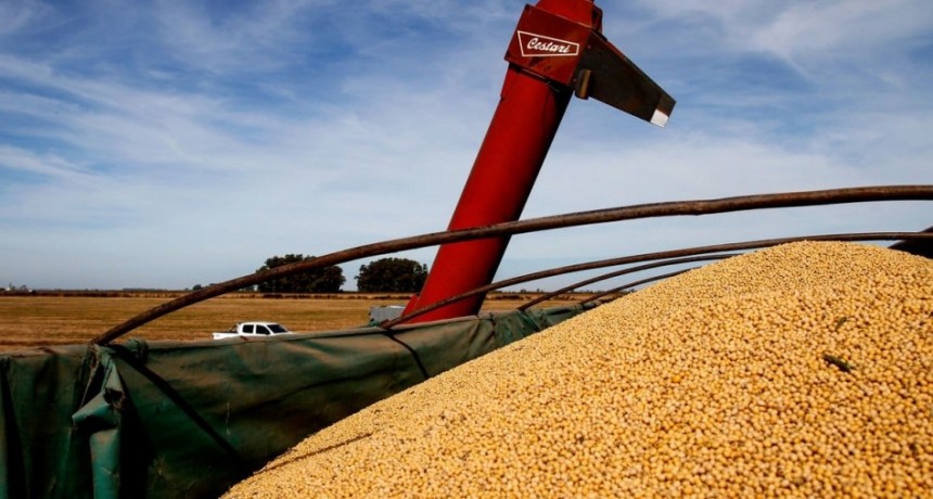 Cosecha 2026: soja y maíz, con buen potencial pero la falta de lluvias enciende alertas