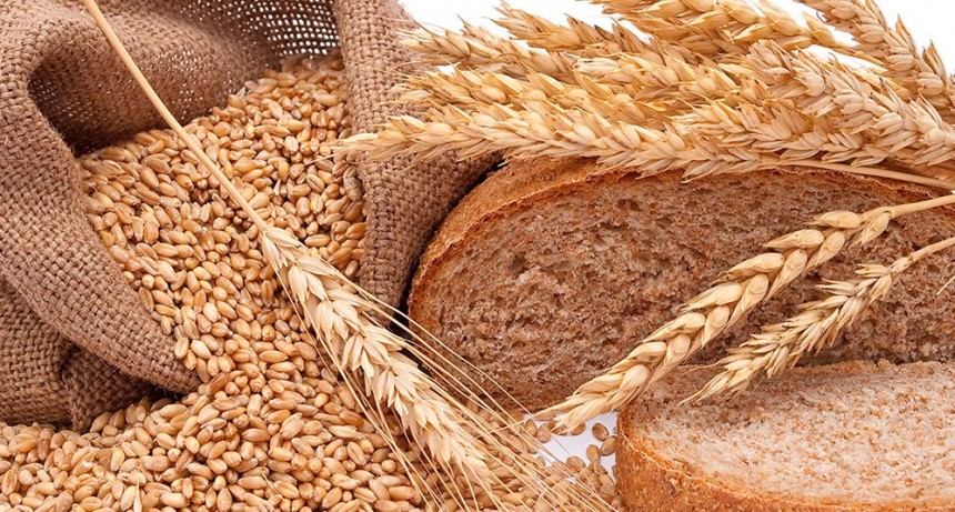 Molinos en alerta: “Hay una falta generalizada de oferta de trigo apto para panificación”