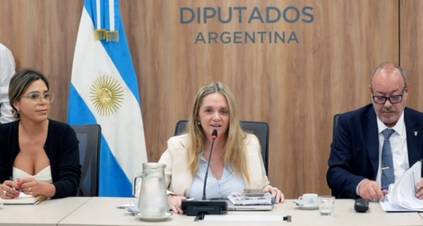 Agenda compleja y mayoría oficialista: Diputados eligió autoridades de comisiones