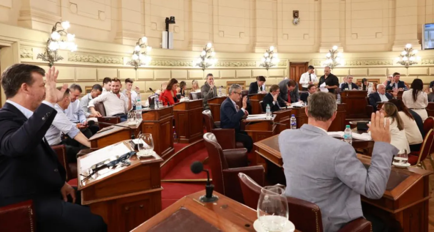 El Senado dio media sanci&oacute;n a la nueva ley org&aacute;nica de municipios y el proyecto pas&oacute; a Diputados