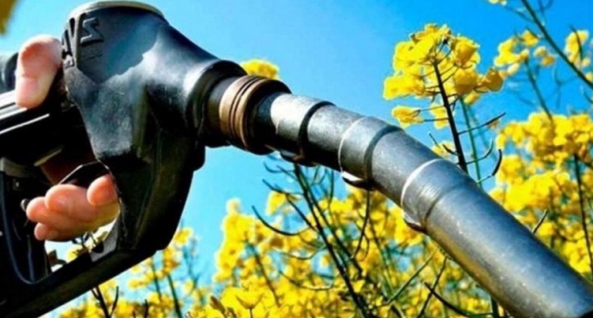 Proponen aumentar el corte de bioetanol en nafta para estabilizar econom&iacute;a en Tucum&aacute;n