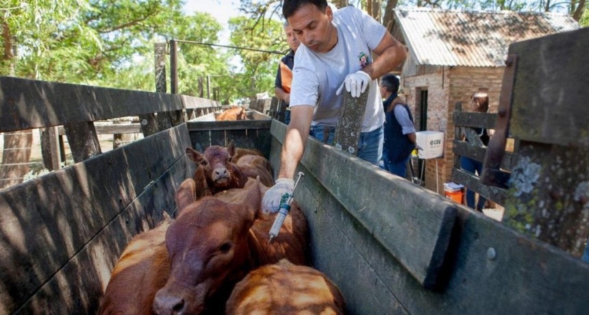 Para CARTEZ, desregular sin control pone en riesgo mercados clave