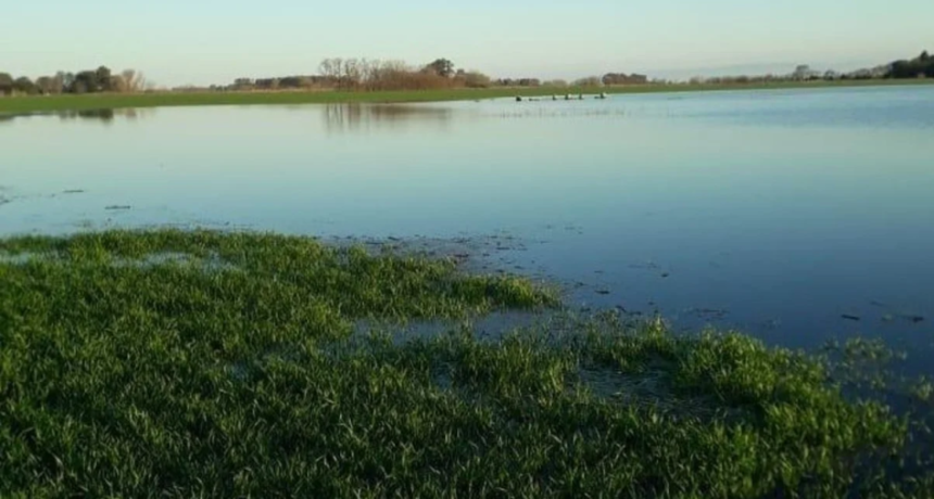 Del estr&eacute;s h&iacute;drico a un posible 