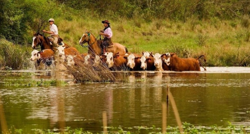 Medidas excepcionales para la ganader&iacute;a ante contingencias clim&aacute;ticas