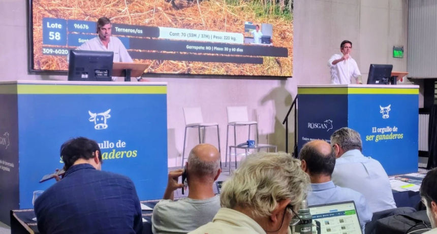 ROSGAN cerr&oacute; un abril r&eacute;cord con casi 42.000 cabezas comercializadas