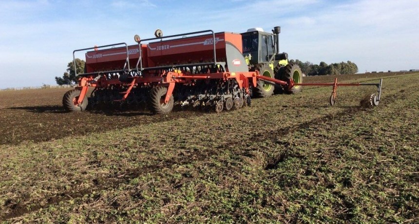 Argentina achic&oacute; la brecha de costos para producir granos, pero sigue con un obst&aacute;culo: las retenciones