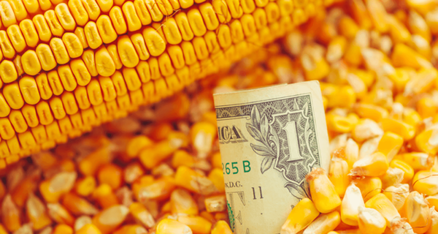 &iquest;El ma&iacute;z encontr&oacute; un nuevo piso?: la demanda y China podr&iacute;an cambiar la historia del mercado