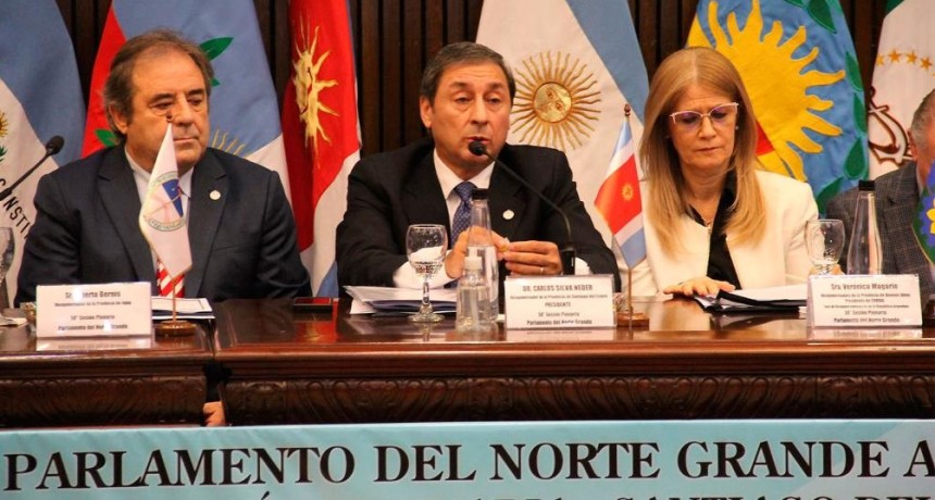 Silva Neder: &ldquo;Sin Norte Grande no hay naci&oacute;n, porque el federalismo no se declama, sino se ejerce con presupuesto, con obra y con trabajo&rdquo;