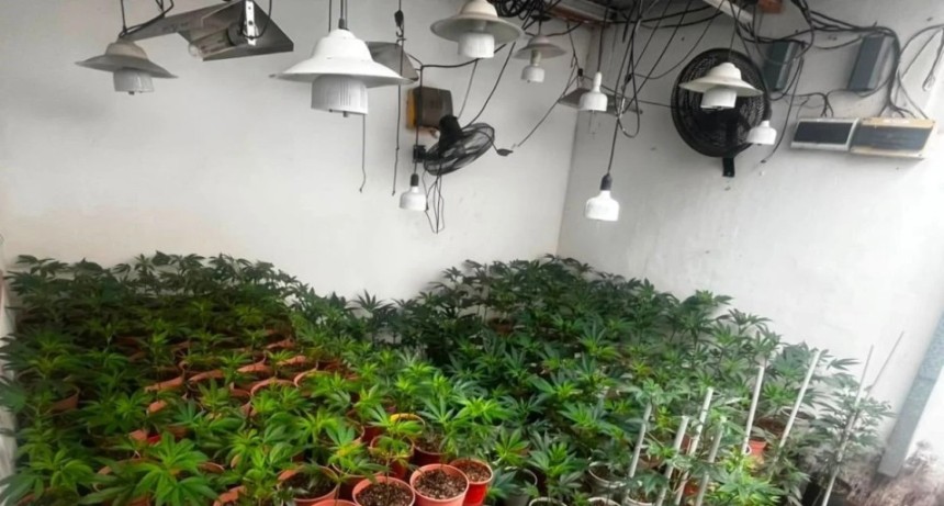 Un incendio dej&oacute; al descubierto una plantaci&oacute;n de cannabis en una vivienda de Santa Fe