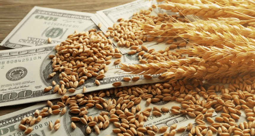 Radiograf&iacute;a exportadora: m&aacute;s de la mitad de las cadenas del agro crecen tanto en valor como en volumen