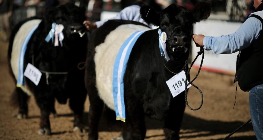 Arranca La Rural 2026: todo lo hay que saber sobre la 138&deg; edici&oacute;n de la Expo de Palermo