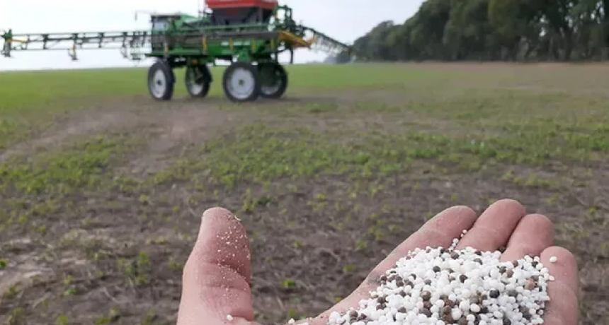 Relación Insumo-Producto en Entre Ríos: la rentabilidad de los cereales en jaque