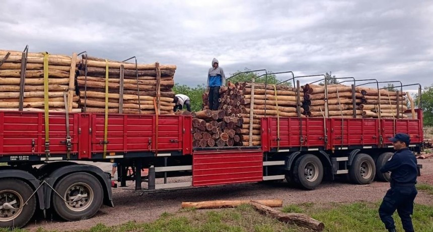 Decomisaron una carga de postes de itín en un control policial en Ojo de Agua