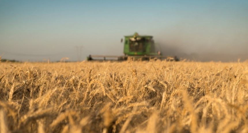 “Pocos resultados”: para Barbechando, 2025 tuvo una performance “acotada” en legislaciones para el agro