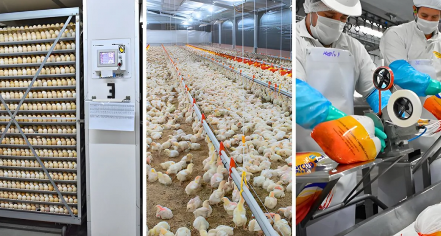 La Unión Agrícola de Avellaneda renovó autoridades y presenta un estudio ambiental clave para su cadena avícola