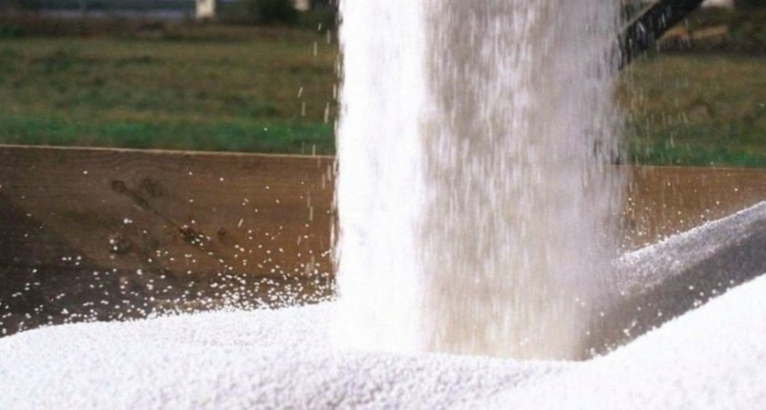 Adecoagro y ACA concretaron la compra de Profertil y toman el control del mayor productor de fertilizantes de Sudamérica