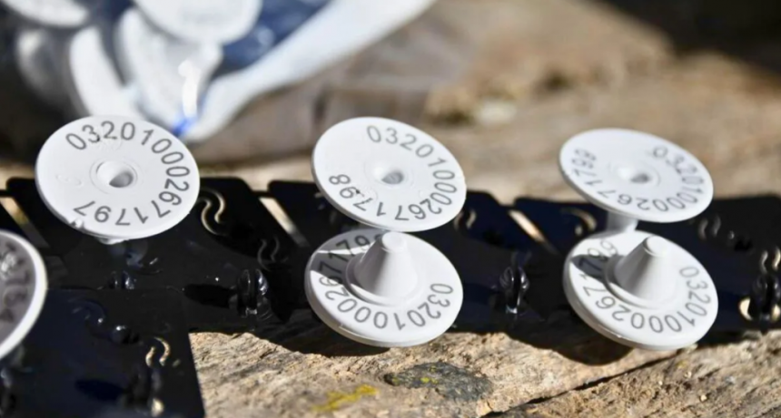 Caravana electrónica obligatoria: charla informativa en la Sociedad Rural de Vera