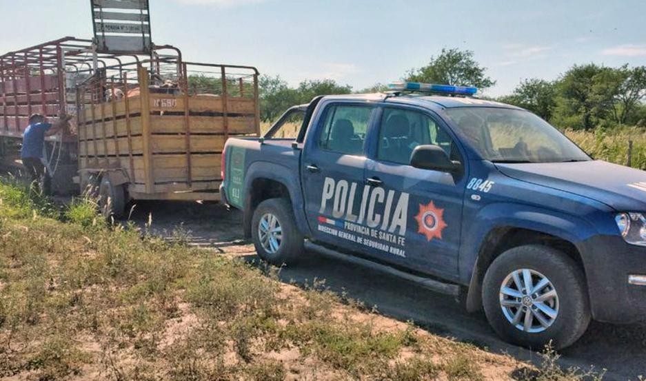 Cuatro santiagueños, condenados en Santa Fe por robar 73 cabezas de ganado y negociarlas en Pinto