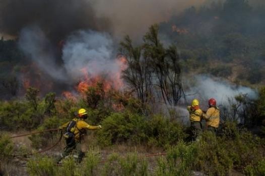 Declararon la emergencia ígnea en todo el país debido a los incendios forestales
