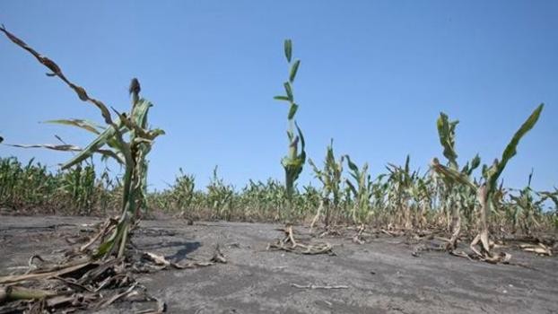 Perotti firmó el decreto que declara la emergencia agropecuaria en toda la provincia por la sequía