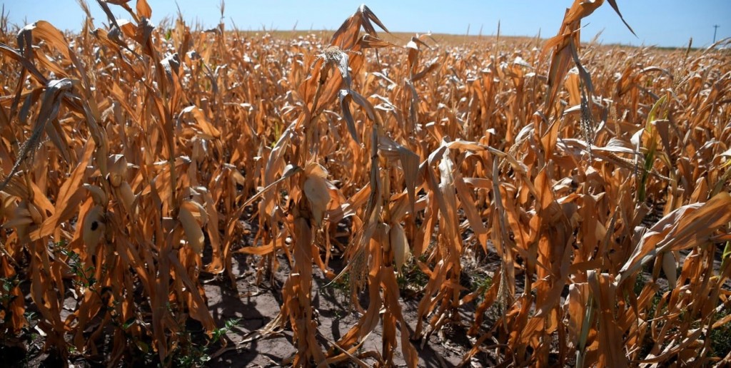 Los productores agrícolas perdieron US$ 10,4 mil millones por la sequía