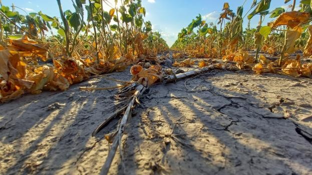Impulsan una nueva línea de financiamiento por $500 millones para productores afectados por la sequía 