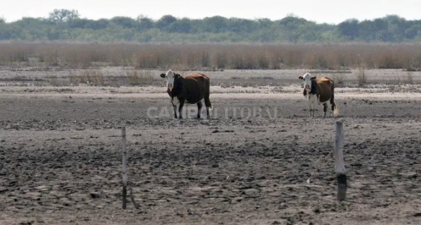 Llega otra ola de calor, en medio de algunas 