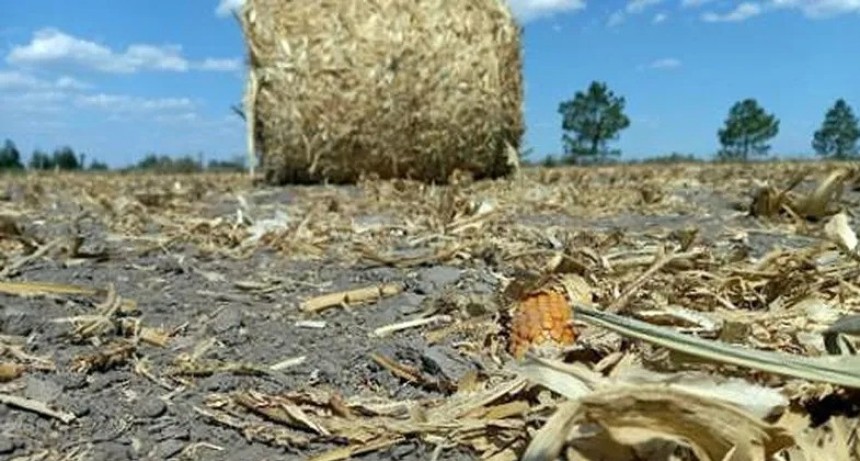 Al l&iacute;mite: sin lluvias ya, quedar&aacute;n lotes agr&iacute;colas sin producir en el verano