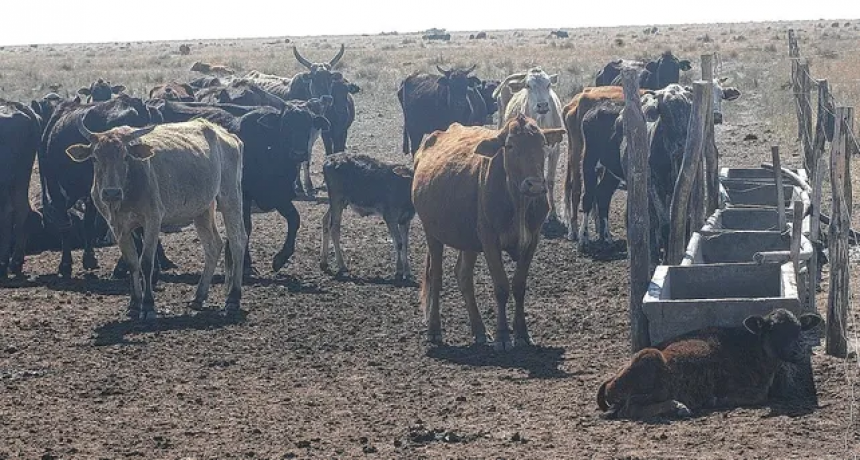 Sequ&iacute;a extrema: el Secretario de Agricultura de la Naci&oacute;n visitar&aacute; el norte de Santa Fe y se esperan anuncios