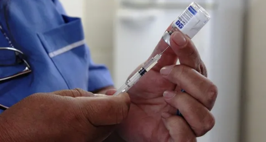 Tras una ola de casos de coronavirus, la curva 