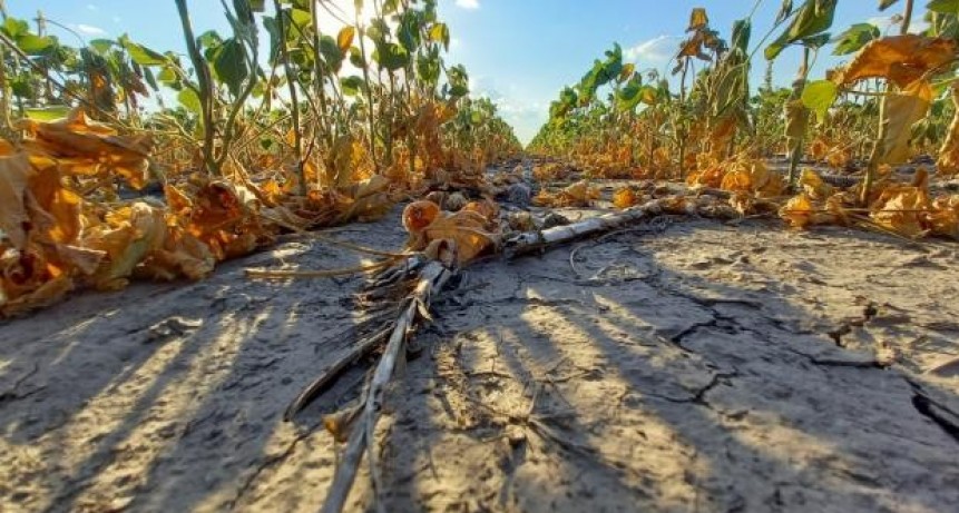 Impulsan una nueva l&iacute;nea de financiamiento por $500 millones para productores afectados por la sequ&iacute;a 
