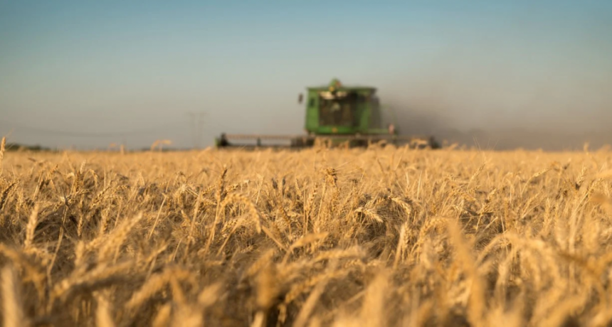 La agroindustria estima exportaciones por casi U$S 45 mil millones en 2025