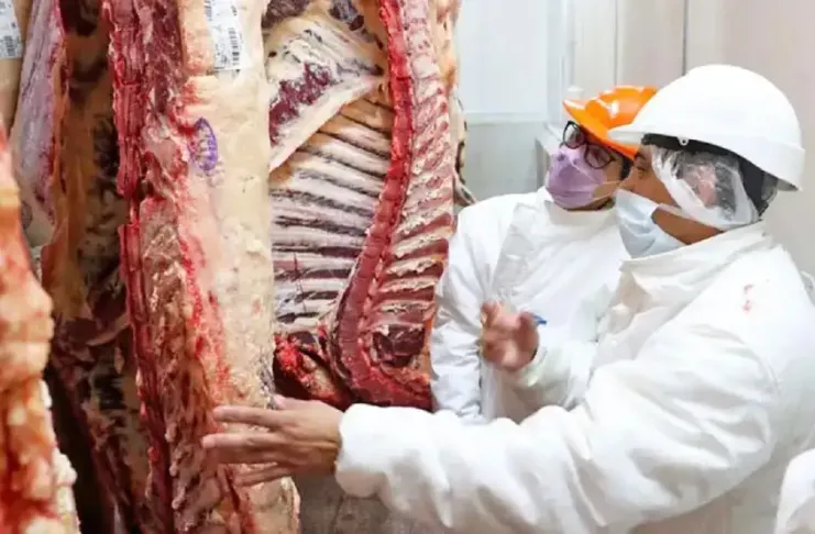 China impuso cupo y aranceles a la carne Argentina: el impacto en la ganadería