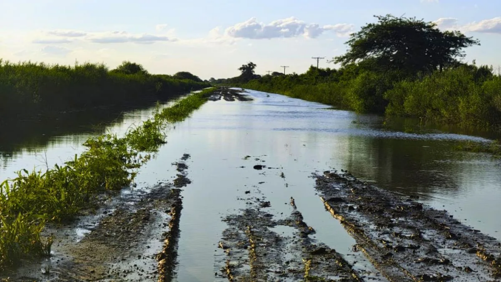Sin caminos no hay cosecha: lluvias récord y canales tapados complican al norte santafesino