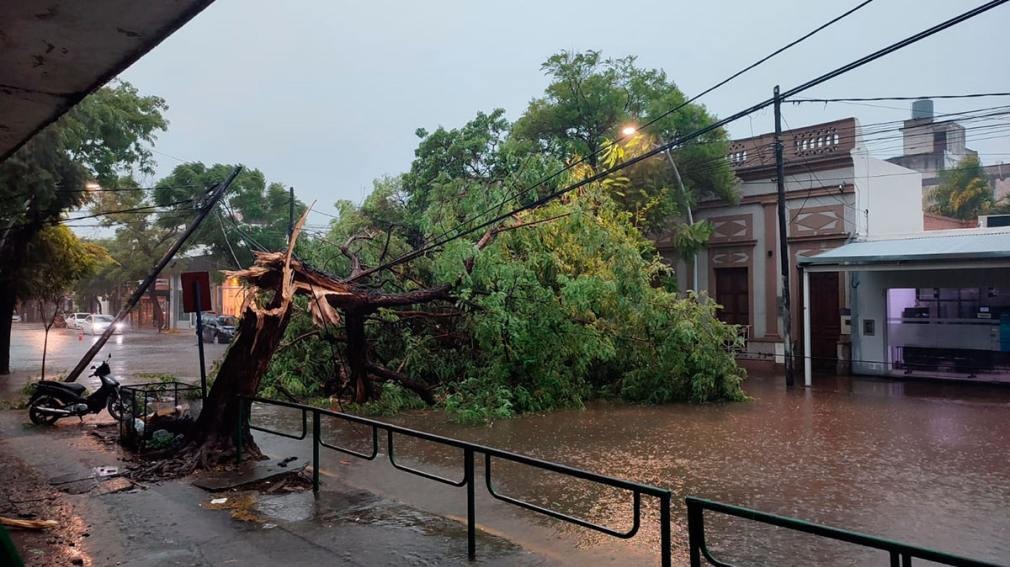 Fotos y videos: la lluvia y el viento generaron destrozos en Santiago del Estero