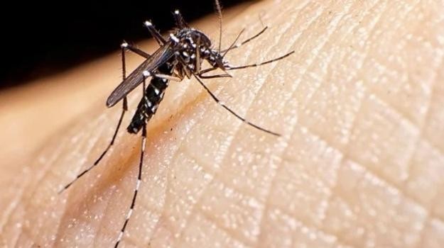 En una semana aumentaron un 252% los casos de dengue en el país
