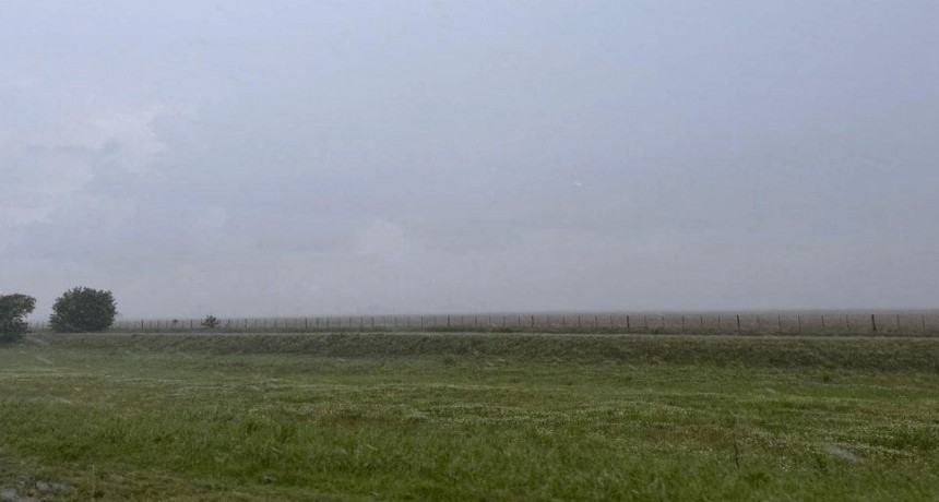 Zonas con más de 100 mm: lluvias “fundamentales” en semanas clave para la soja y el maíz tardío