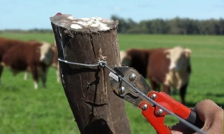 Inseguridad rural: CRA habilitó un sistema nacional de denuncias virtuales y anónimas