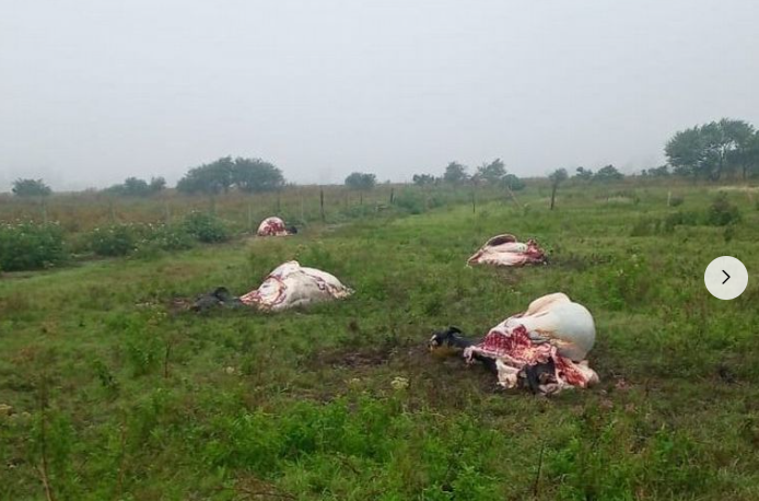 Reactivarán en Santa Fe la Mesa de Seguridad Rural