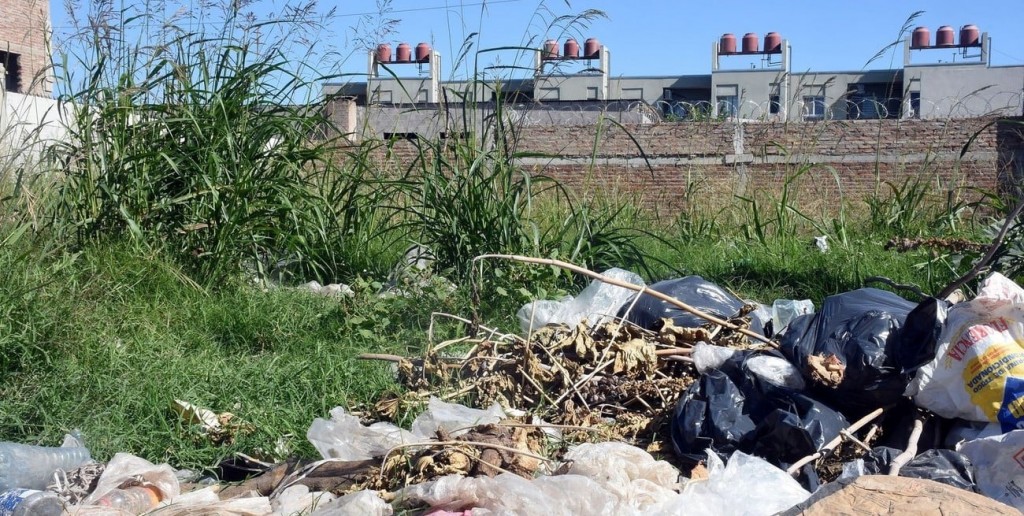 ¿Qué hacer con los yuyales de los terrenos baldíos? En el Concejo de Santa Fe plantean una solución