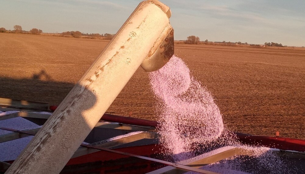 El negocio del agro viene mejor nutrido en 2026: crecen fuerte las importaciones de fertilizantes
