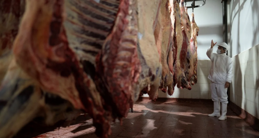 VIALIDAD NACIONAL EJECUTA BACHEOS PREVENTIVOS SOBRE RN 98 ENTRE VERA Y TOSTADO