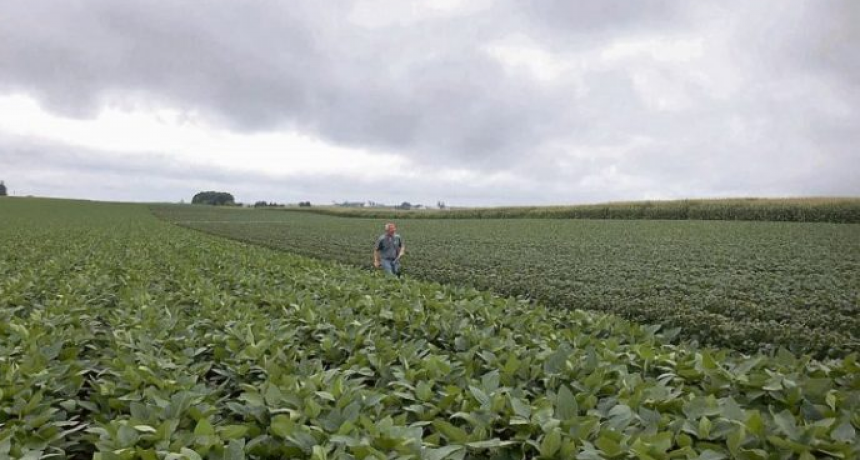 Desde CARSFE aseguraron que la provincia no se benificiará con la suba a las retenciones
