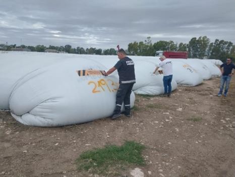 AFIP incautó 270 toneladas de maíz en una planta de acopio