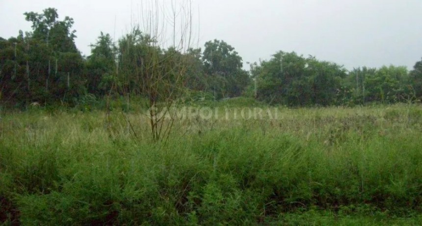 Desamparados, no vencidos: "es la tierra de nuestros abuelos, no la pensamos dar" 