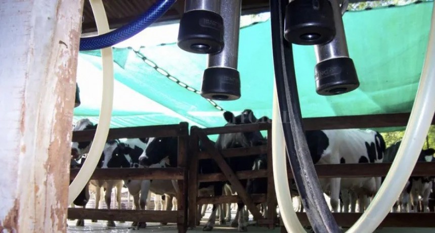 Efecto domin&oacute;: si caen los tambos, peligran pymes y pueblos