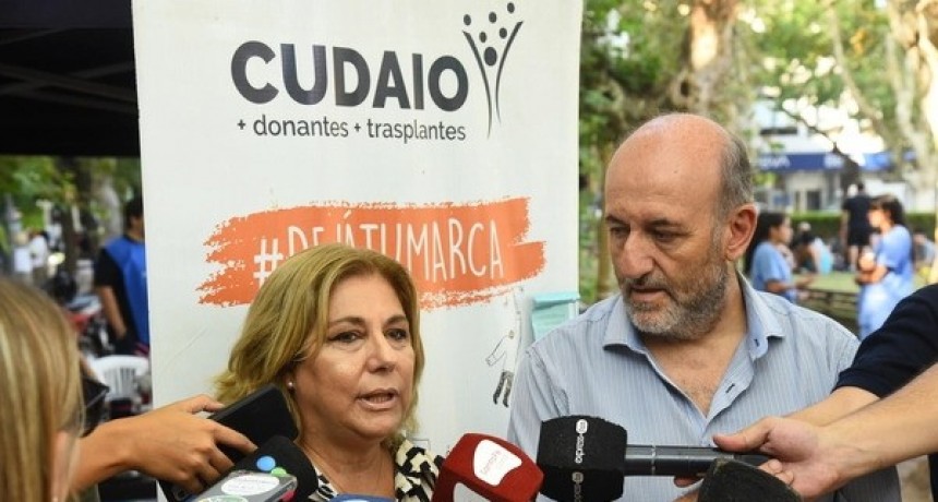 Son 68 los casos confirmados de dengue en el Departamento Nueve de Julio