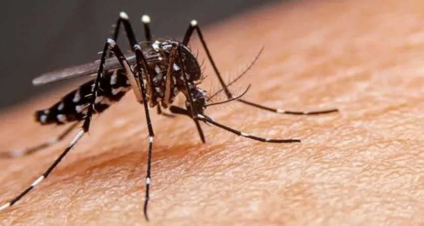 Dengue: son 14 las localidades de la provincia de Santa Fe que ya tienen circulación viral