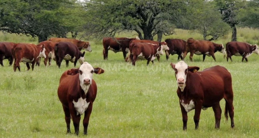  Buscan acreditar la producci&oacute;n agropecuaria libre de riesgo de deforestaci&oacute;n